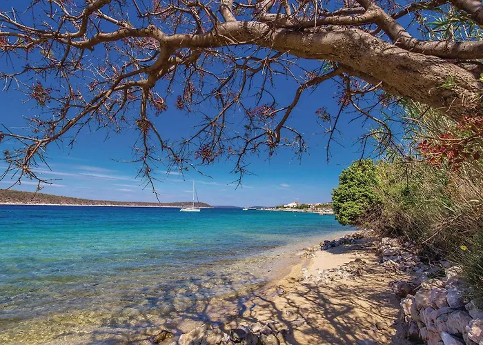 Gorgeous In Barbat With Wi-fi Barbat na Rabu